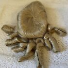 Fine Vintage 15-16? Mohair Wig For French Or German Bisque Doll D15