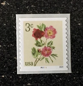 2024USA #5904 3c Peonies - Plate Number Coil Single - PNC Mint flowers - Picture 1 of 1