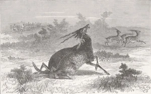 INDIA. Hunting with cheetahs, Vadodara c1870 old antique vintage print picture - Picture 1 of 1