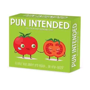 Pun Intended 2025 Box Calendar - Daily Pun Humor Desktop - Picture 1 of 3