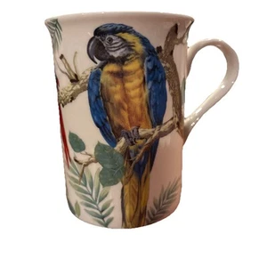 Tazza da tè caffè Stechcol pappagallo ara tucano uccello tropicale Gracie Bone China usata in ottime condizioni - Foto 1 di 5