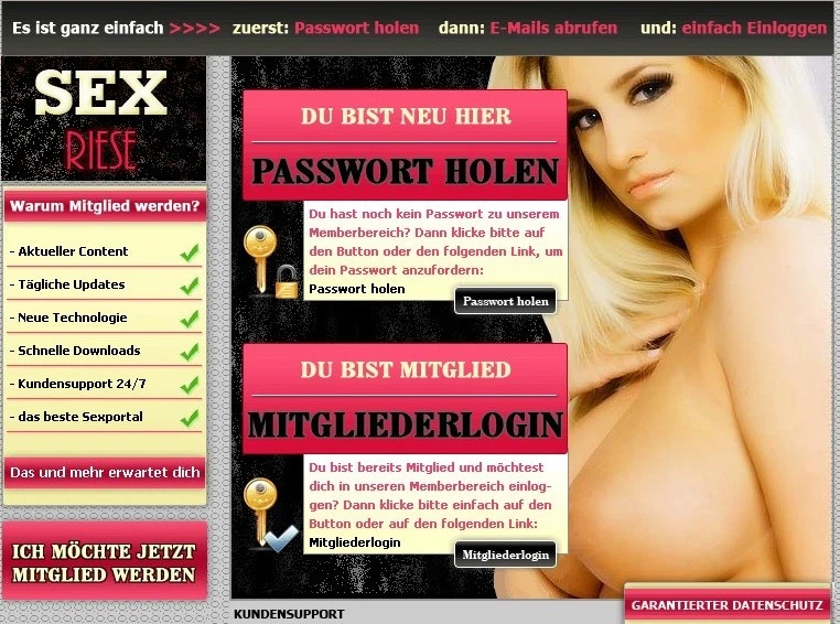 TOP Domain Webprojekt sexriese.com - Bild 1 von 1