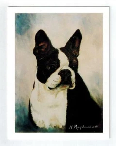 New Boston Terrier Pet Dog Portrait Notecard Set 6 Note Cards By Ruth Maystead - Picture 1 of 6