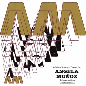 Adrian Younge presents Angela Munoz Introspection Instrumentals 1LP Vinyl 2020 - Picture 1 of 1