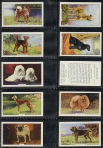 Full Set, Gallaher, Dogs, 2nd Series 1938 EX (w11n13) 48/48 - Picture 1 of 1