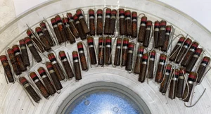 53 Stück IRC 12 Ohm Vintage Western Electric Typ BW 1 Watt Widerstände - Bild 1 von 2