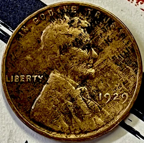 1929 P WHEAT CENT EXTRA STRONG WOODY W/ CRAZY LAMINATION WOW! UBER RARE PENNY! Cover