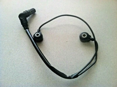 BMW 750i 750Li E65 E66 2004-2007 ~ sensor PING KNOCK Foto 1 de 3