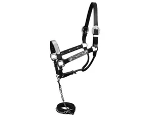 BLACK Leather Silver Show Halter with Matching Lead Stud Chain HORSE Size 5783 - Picture 1 of 1