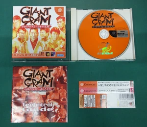 SEGA Dreamcast - GIANT GRAM   All Japan Prowrestling 2 - spine. JAPAN. DC. 25503 - Picture 1 of 16