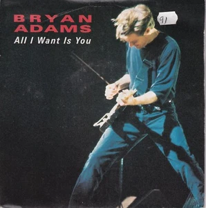 Bryan Adams - All I Want Is You - 7" Vinyl 45 Record 1988 (P90) - Picture 1 of 4