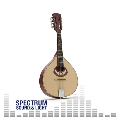 OZARK Mandolin Flat Back [2001] - Image 1 of 2