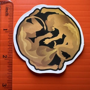 Pegatina de portada de álbum de regalo de Beyoncé el Rey León - Imagen 1 de 1