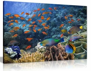 Tropical Fish On Coral Reef Canvas Wall Art Picture Print - Picture 1 of 1