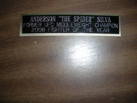 ANDERSON SILVA (UFC) NAMEPLATE FOR SIGNED TRUNKS DISPLAY/PHOTO/PLAQUE Cover