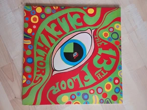 Psychedelic Sounds Of The Thirteenth Floor Elevators , 2 x LP Mono/ Stereo 2011 - Picture 1 of 13