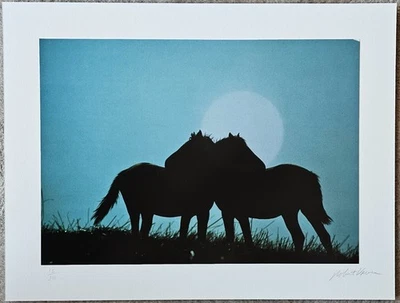ROBERT VAVRA Horses art HAND SIGNED photo 12/300 photograph '80 equestrian decor - Image 1 of 4
