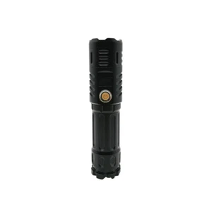Adjustable Focus Blue Laser Pointer Pen 450nm-2000 Visible Beam Light +USB Cable - Bild 1 von 4