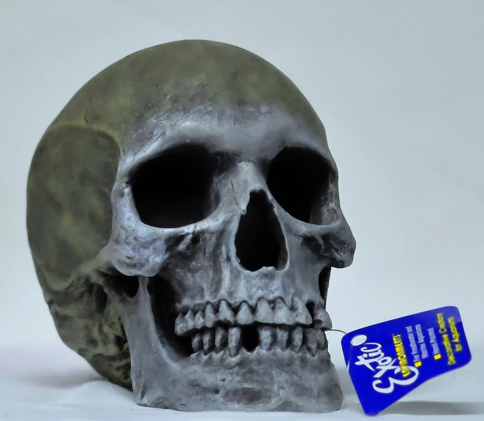 Blue Ribbon Exotic Environments Human Skull Aquarium Ornament 5-inch