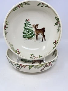 Pier 1 / Pier One Winter Wonders Individual Dinner Bowl 8” EUC!!! - Picture 1 of 8