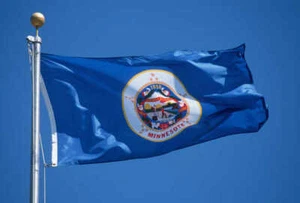 NEW MINNESOTA 3x5ft FLAG superior quality fade resist us seller - Picture 1 of 3