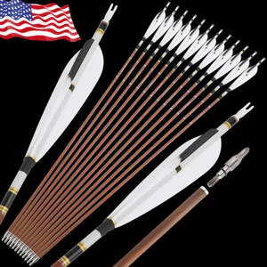 12X 31" Pure Carbon Arrows 5" Feather SP340 400 500 600 Archery Bow Hunting - Picture 1 of 10