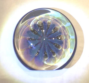 2006 EICKHOLT Jellyfish Magnum Seascape Dichroic Disc Glass Paperweight Decor 6" - Picture 1 of 11