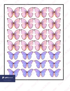 Edible Pre-Cut Wafer Butterfly - Pink and Purple - Picture 1 of 1