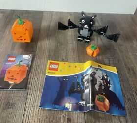 LEGO Halloween Pumpkin Witch Set 40090 40055 Lot instructions
