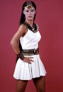 Do You Remember (Joanna Cameron Isis)  | 13x19" POSTER | - Picture 1 of 2