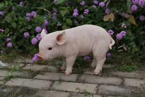 Standing Baby Pig Garden Statue Garden Decoration Farm Home Decor - Picture 1 of 12