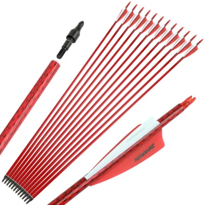 30" Carbon Arrows Archery SP500 Screw Tips 100gr Compoundbow Recurve Bow Hunting - Image 1 of 4