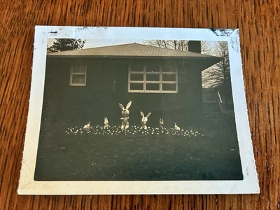 Happy Easter basket basement bar creepy house yard decoration bunny Polaroid 60s - Image 1 of 4
