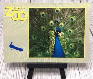 Milwaukee WI County Zoo Black Diamond Pfau Wisconsin Postkarte - Bild 1 von 4