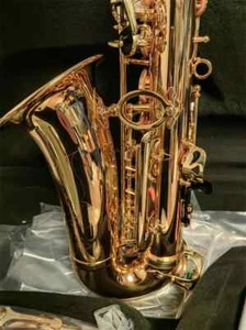 Mejor Calidad Nuevo Saxofón Alto Saxo Profesional Instrumento Musical Con Estuche - Imagen 1 de 10