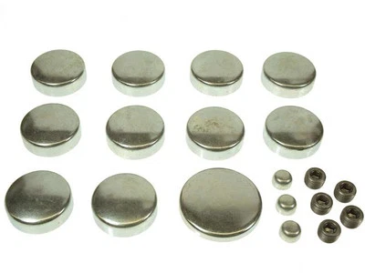 Kit de enchufe de expansión para GMC C35 1976-1978 24136PBBY 1977 6,6 L V8 enchufe de expansión Foto 1 de 2