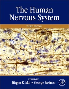The Human Nervous System - Photo 1/1
