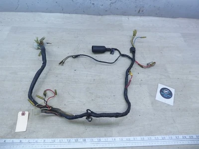 Yamaha DT100 1974 Enduro Y20961) arnés de cableado principal  Foto 1 de 4