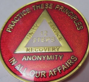 Alcoholics Anonymous Red 12 Step Anonymity Unity Gold AA Medallion Coin Token - Picture 1 of 9