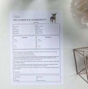 STUD DOG CONTRACT PERSONALISED PEDIGREE FORMS/CERTIFICATES WHELPING PUPPY