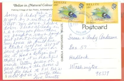 伯利兹鱼 2 X 15c 用于渔村明信片 AMBERGRIS 取消到美国 — 第 1/2 张图片