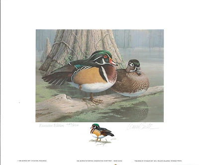 GEORGIA #1 1985 STATE DUCK PRINT WOOD DUCKS EXECUTIVE ED  By Daniel Smith. $795 - Image 1 of 4