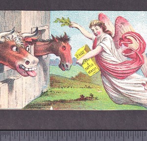 Dr Haas Victorian Angel Remedy Farm Horse Cattle Hog Cow Cure TRIMMED Trade Card