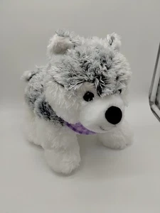 Walgreens Husky Wolf Dog Plush Purple Bandana 13 Inch 2019 Stuffed Animal Toy  - Picture 1 of 8