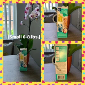 🐯Whisker City Kitty Caps [Yellow/Blue] Glitter {Small 6 -8 lbs.} Brand New🐯 - Picture 1 of 9