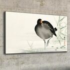 Canvas Wandbild Leinwand Bilder 100x50 Gemlde Asiatische Tier Vogel Wasser