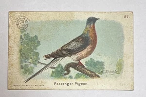 Lote de tarjetas coleccionables Church Co Arm & Hammer 1908 — Paloma pasajera - Imagen 1 de 4