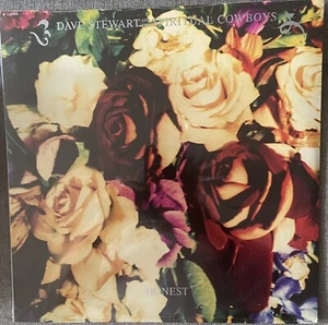 Dave Stewart And The Spiritual Cowboys Honest Mexico Collectible Limited 1991 LP - Picture 1 of 3