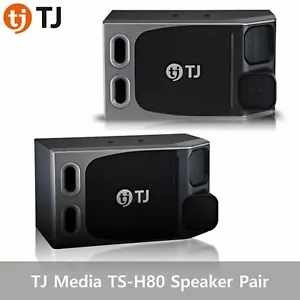 TJ Media TS-H80 Speaker 150W Maximum 250W - Picture 1 of 1