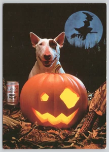 Postal Spuds MacKenzie Bud Light Cerveza Publicidad Jack-o'-lantern 1986 - Imagen 1 de 2